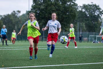 Bild 297 - C-Juniorinnen HSV - Walddoerfer : Ergebnis: 9:1